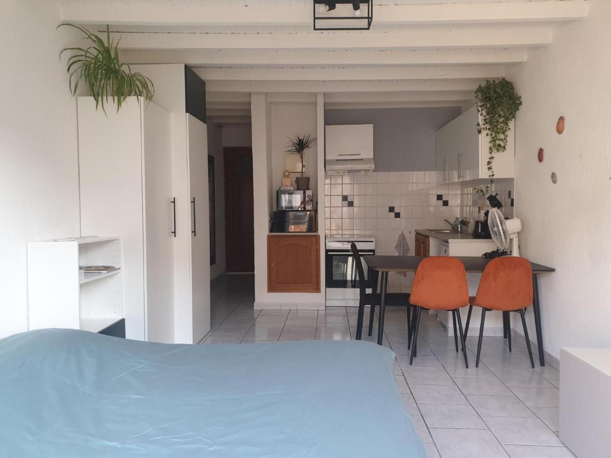 Studio Tout Confort Centre Ville - Balcon, Clim, Tv, Wifi Mazan Exterior photo
